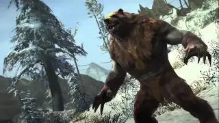 Guild Wars 2 The Races Of Tyria
