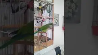 Пока