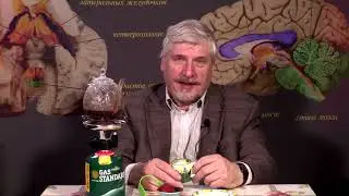 С. Савельев  Сколько надо читать