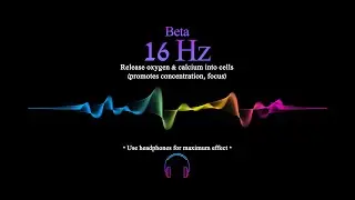 16 hz | Beta | Pure Tone | 1hr | Black Screen