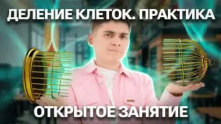 БОЛЬШАЯ ПРАКТИКА по делениям клеток | Митоз и Мейоз | Марк Ламарк