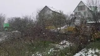 Сочи. Снег валит как из ведра.
