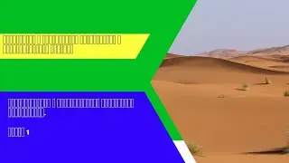 Международные и отечественные туристские организации. Часть 1.