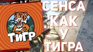 СЕНСА КАК У ТИГРА (Канал Тигра) // ЮТУБЕРЫ ИГРАЮТ С БОЛЬШОЙ СЕНСОЙ
