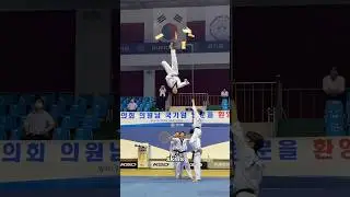 The Most Satisfying Looking Kicks Ever