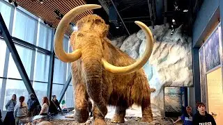 Bell Museum Of Natural History & Planetarium ~ Falcon Heights Minnesota