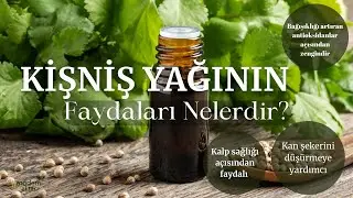 MODERN AKTAR KİŞNİŞ YAĞI | FAYDALARI NELERDİR?