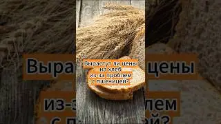 Вырастут ли цены на хлеб из-за проблем с пшеницей?  