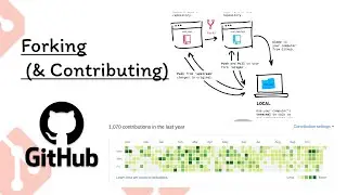 Git & GitHub Tutorial for Beginners #11 - Forking (& Contributing)