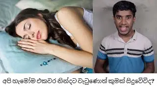 සෑම දෙනාම එකම වේලාවක නින්දට වැටුණොත් මොනවා වෙයිද?