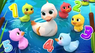 5 Little Ducks(Learn Colors Song) 🦆 ! | olaalaa Nursery Rhymes & Baby Songs