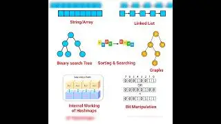 Top 7 Algorithm | #algorithm #arrays #linkedlists #binarysearchtree #sorting #bitmanipulation