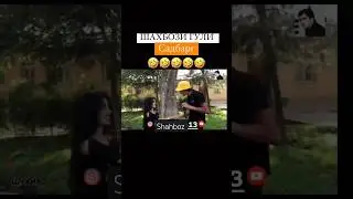 Шахбози 2211 ва Лола 