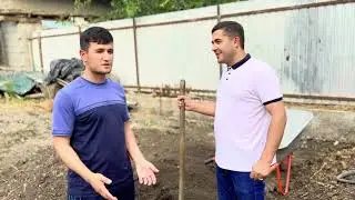 Деҳқонбачча ва тиҷоратӣ ӯ, ман 56 мошин дорам, 150 буққа