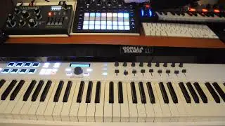 CircuitTracks meets DreadboxTyphon meets Arturia - SET ME FREE