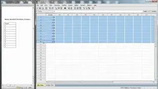 SPSS - Descriptive Statistics