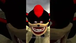 CHOOSE YOUR FAVORITE SONIC KNUCKLES SHADOW TAPES FAMILY ZOOCHOSIS ZOONOMALY POPPY 3 in Gmod #sonic