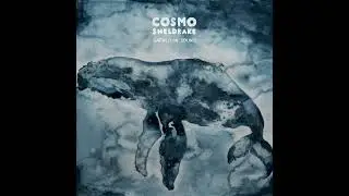 Cosmo Sheldrake - Bathed In Sound