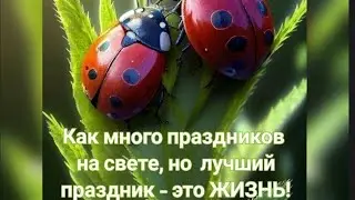 Тепло, любовь, уют!!! Пусть в вашем доме живут!!!! С Добрым Вас Утром!!!