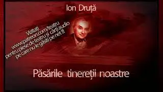 Ion Druta - Pasarile Tineretii Noastre (1991) 