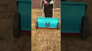 Да! Газон одна из самых трудоёмких культур