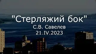 С.В. Савельев - Стерляжий бок
