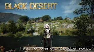 Black Desert l Гиас не точится, не растет кокос l