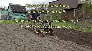 Новый вид мошенничества на майские)))))