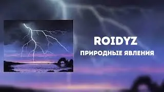 Roidyz - Природные явления (Official Audio 2024)