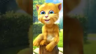 Talking Ginger