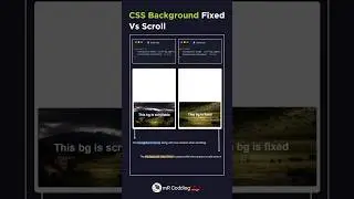 Background Fixed Vs Scroll Using html css 