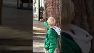 Геленджик, ручная белка 