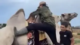 Дождь 🌧️