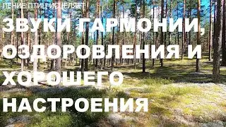 ПЕНИЕ ПТИЦ ЭТО ЗВУКИ ГАРМОНИИ,СЧАСТЬЯ И ЗДОРОВЬЯ.НЕРВНАЯ СИСТЕМА УСПОКАИВАЕТСЯ.УМИРОТВОРЕНИЕ И ПОКОЙ