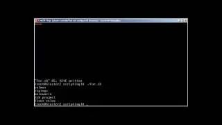 Bash Scripting Part -V with SSH Brute Force Script in Bash