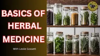 HOW HERBAL REMEDIES HAVE A PLACE IN YOUR PREPAREDNESS