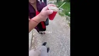 Как обмануть цыган. 😂😂😂