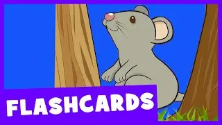 Prepositions | Talking Flashcards