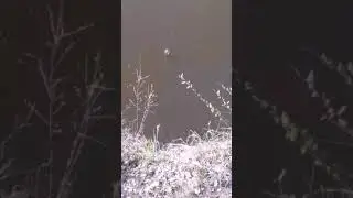 Карась на манку в мае!!