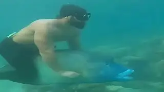 Top 5 Sea Creature