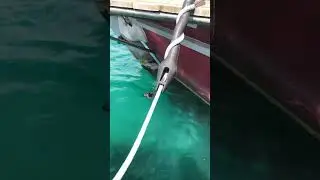 Вся наша жизь это борьба с ветряными мельницами ...