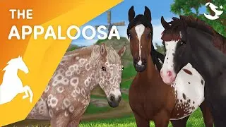 Meet the Gen 3 Appaloosa! 😍🎠 | Star Stable Horses