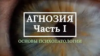 Агнозия (Часть I) - Основы психопатологии