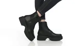 Rocket Dog Blaze SKU: 9917779