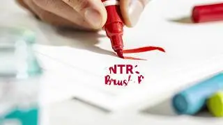 Ecoline brush pen: the best of two worlds | Ecoline