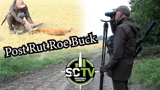 S&C TV | Post Rut Roe Buck | Deer management with Chris Rogers 34