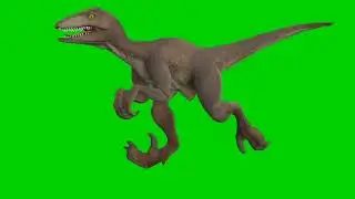 Green Screen Styracosaurus Dinosaur / WITHOUT COPYRIGHT FOOTAGE