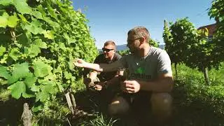 Lush vineyards and beautiful villages near Hotel Trakošćan