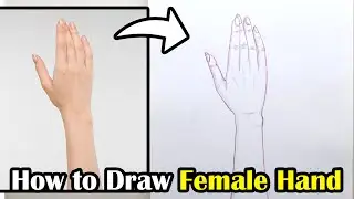 How to Draw Female Hand | Hand Anatomy Drawing | Hand Pencil Sketch