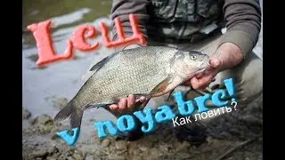Как и на что ловить леща в ноябре? Секреты ловли леща в ноябре!